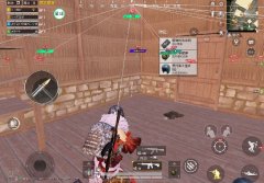 codmgfx怎么用（如何安装codmgfx？）