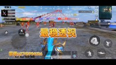 oppo怎么看和平精英的外挂（如何有效举报和平精英中的外挂玩家？）