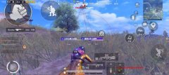 root单透（root单透的主要功能和优势是什么？）