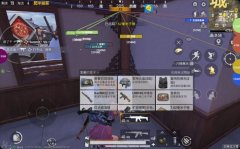 rootgame（Root游戏中不同种族的能力如何影响游戏策略？）